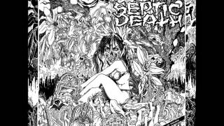 Septic Death  Now That I Have The Attention 1986 FULL ALBUM [upl. by Ahsined]