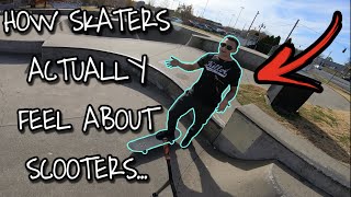 How Skaters REALLY Feel About Scooters [upl. by Hubble]