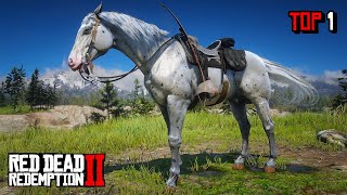 Proper Way To Get The Best amp Fastest Few Spots Appaloosa Horse  RDR 2 [upl. by Akemhs273]