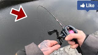 BFS Fishing for River Perch First time finesse baitcasting with Aliexpress setup [upl. by Fredie590]