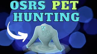 OSRS Pet Hunting Tempoross  Can We Get Lucky [upl. by Norby925]