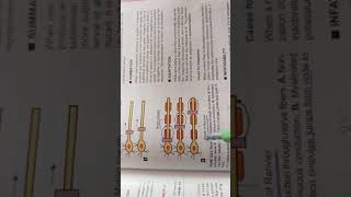 saltatory conduction  cns physiology [upl. by Airlie]