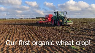 Drilling our first organic wheat crop [upl. by Einegue989]