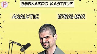 Bernardo Kastrup on Analytic Idealism  Psychology  Consciousness Metaphysics Physics amp More [upl. by Yro]