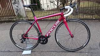 Focus Cayo Donna Sora  Roadbike  Rennrad 2017  Walkaround [upl. by Hesketh]