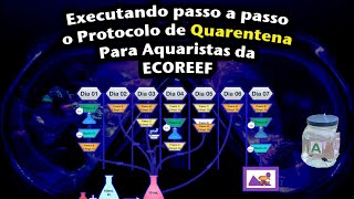 Quarentena para Aquaristas da ECOREEF passo a passo [upl. by Attenahs]