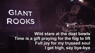 Giant Rooks  Wild Stare Lyrics [upl. by Eiramannod]