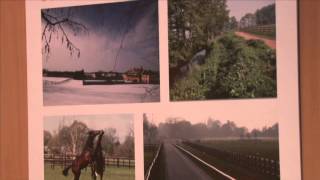 Haras de Bouttemont [upl. by Kendra185]