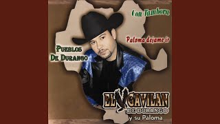 Pueblos De Durango feat Banda Herradero Show de Durango [upl. by Eralc]