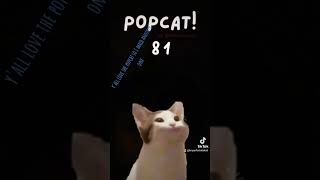 here is a popcat popopopop [upl. by Ddet]