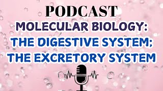 MOLECULAR BIOLOGYTHE DIGESTIVE SYSTEMTHE EXCRETORY SYSTEM [upl. by Marguerite]