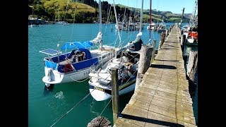 Sailing New Zealands South Island Pt 3 of 8  Banks Peninsula to Port Chalmers Dunedin [upl. by Initof]