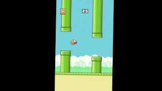 Flappy bird high score [upl. by Naahs]