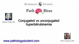 Path Bites Conjugated vs unconjugated hyperbilirubinemia [upl. by Sevik]