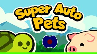 8 💥 Мульти вселенная черепашек 💥Super Auto Pets 💥 [upl. by Bristow]