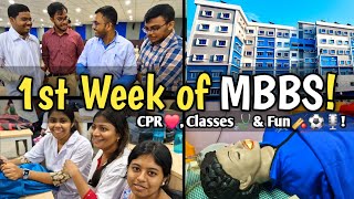 My 1st Week of MBBS 🩺🔥 CPR Training Hostel Life 🏨 Fun in Class 🎶🏏 amp Study Grind 📚💪 [upl. by Niko281]