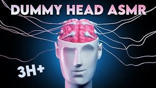 ASMR 360º DUMMY HEAD TRIGGERS The Ultimate 3D Tingle Compilation for Sleep amp Relaxation [upl. by Dlorah]