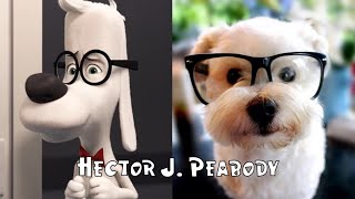 Mr Peabody amp Sherman in Real Life [upl. by Umont265]