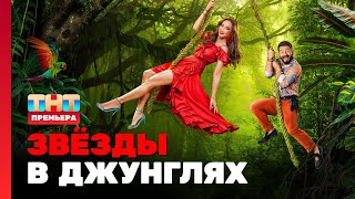 Звёзды в джунглях 1 выпуск TNTtelevision [upl. by Bogosian865]