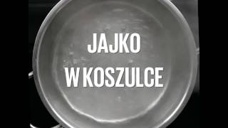 Jajko w koszulce [upl. by Alliuqal879]