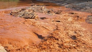 rompimento da barragem de Mariana MG  Exclusivoveja como aconteceu e a situação do Rio Doce [upl. by Anilem]