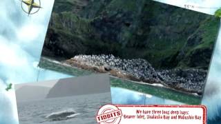 Unalaska Snapshots [upl. by Ppik945]