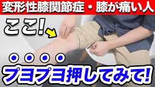 【病院と同じ効果】変形性膝関節症の痛みを自分で治す方法は、膝の「プヨプヨ」にありました。 [upl. by Macdougall]