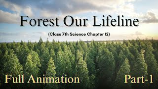 FOREST OUR LIFELINE  CHAPTER 12  CLASS 7  SCIENCE  PART 1 FULL VIDEO IN ANIMATION [upl. by Ahsenal]