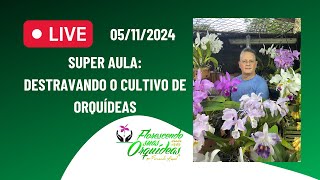 SUPER AULA  DESTRAVANDO O CULTIVO DE ORQUÍDEAS [upl. by Prior36]