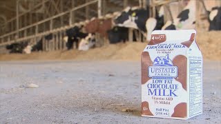 ROC area schools struggle amid milk carton shortage [upl. by Atiluap]