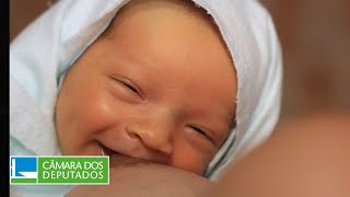 CCJ aprova admissibilidade de PEC contra aborto legal  271124 [upl. by Arak]