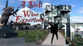 Exploring the Surreal d’Arenberg Cube Wine Tasting Experience in McLaren Vale [upl. by Ikram23]