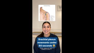 Memorize the Brachial Plexus [upl. by Grados]