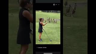 Kangaroos Have Mastered The Art Of Golf [upl. by Ranger]