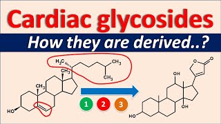 Cardiac glycosides  How they are derived [upl. by Shyamal]