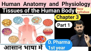 HAP Chapter 3  Tissues of the human body  Epithelial  Connective  Muscular  Nervous tissues [upl. by Eolcin118]