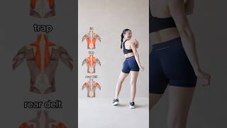 📌4 STRONG BACK EXERCISES with dumbbells [upl. by Itraa499]