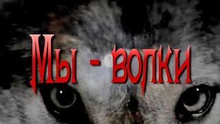 Вячеслав МЕДЯНИК Мы  волки  Nstудия [upl. by Edelson]