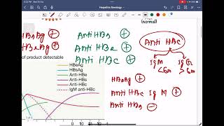 Serological markers of Hepatitis B virus [upl. by Adnahsat]