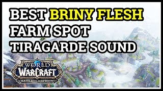 Best Briny Flesh Farm Spot WoW Tiragarde Sound [upl. by Eniretak855]