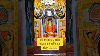 ❤️සෑම සියලු දෙනාගේම සංසාර මර්ගය කෙටි වේවා 🙏🥰 damdiyaasapuwa mapiyawandana kavibana buddha [upl. by Ines]