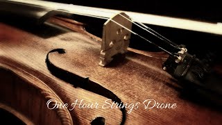 D Practice Drone 1 Hour Strings Drone for Tuning and Improvisation [upl. by Nnairda]