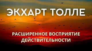 Расширенное восприятие действительности  ЭКХАРТ ТОЛЛЕ Nikosho [upl. by Ciredec]