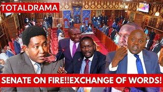 KIMEUMANA Exchange of words in senate after Senators got emotions as Cs Wahome fails to give fact [upl. by Kippar]