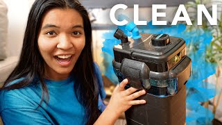 I cleaned my GROSS turtle tank filter How to Clean a Cascade Canister Filter  step by step [upl. by Igig]