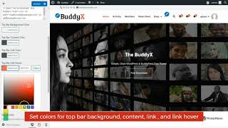 How to Configure Default TopBar  BuddyX BuddyPress Theme [upl. by Aremmat]