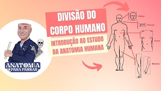 DIVISÕES ANATÔMICAS ESQUELETO APRENDA AGORA E NUNCA MAIS SE ESQUEÇA [upl. by Iasi665]