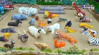 Meet the Cutest Herbivore Animals amp MeatEating Carnivores for Kids 🦁🐮 Kidiez World TV Live [upl. by Schaeffer]