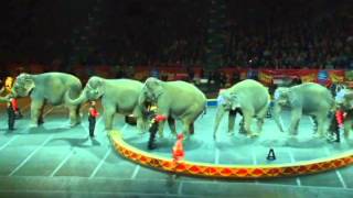 Ringling Bros Presents Dragons  Majestic Elephants [upl. by Valentia]