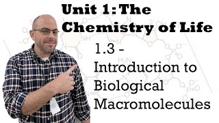 AP Bio Unit 1  13 Introduction of Biological Macromolecules [upl. by Ayekal]